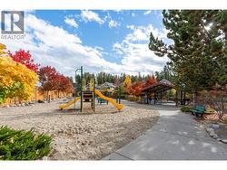 The playground/structure -