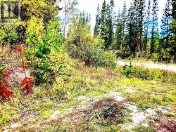 DL 962 27 HIGHWAY Fort St. James, BC V0J 1P0