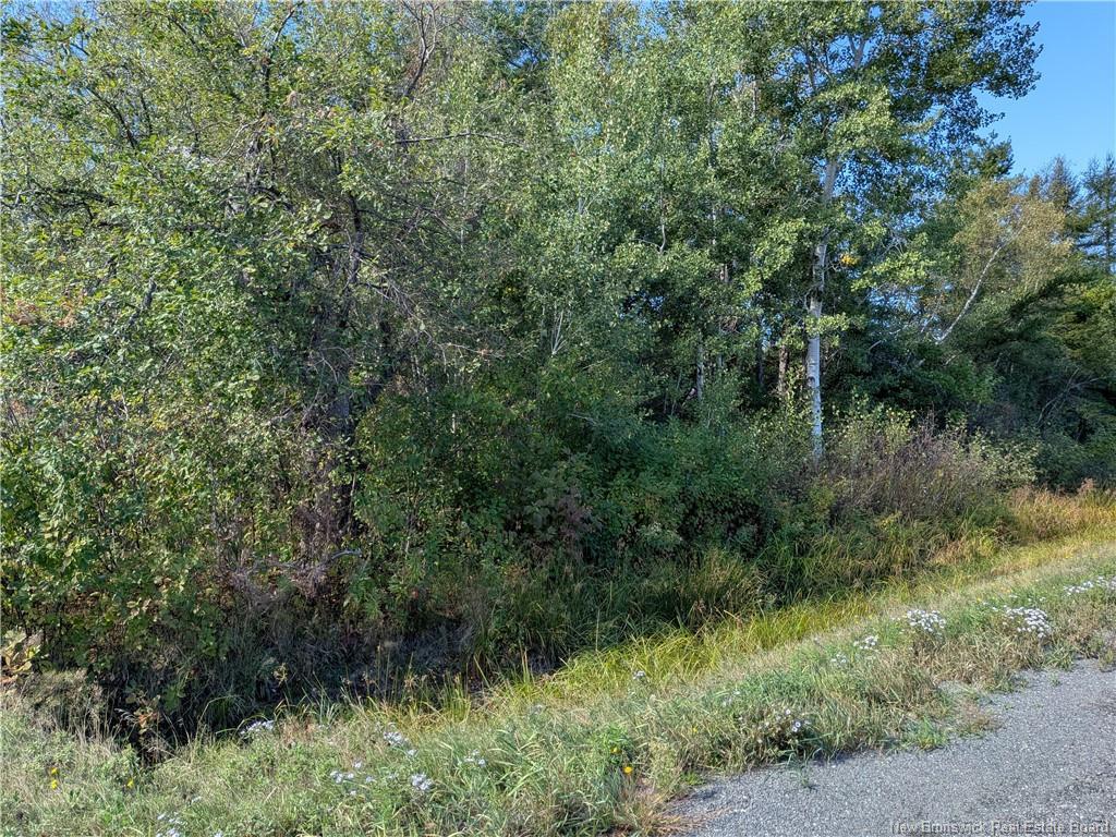 00 Highway 11, Redmondville, NB