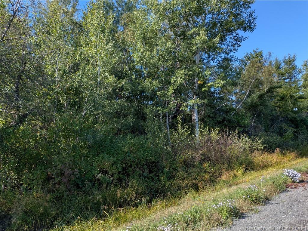 00 Highway 11, Redmondville, NB