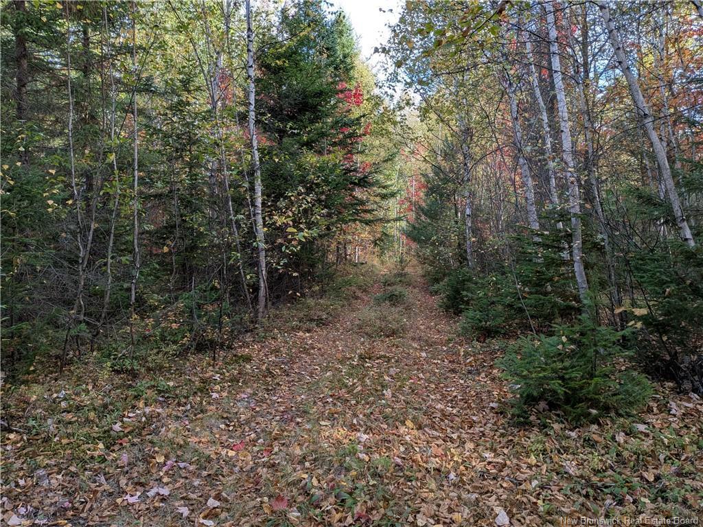 00 Highway 11, Redmondville, NB