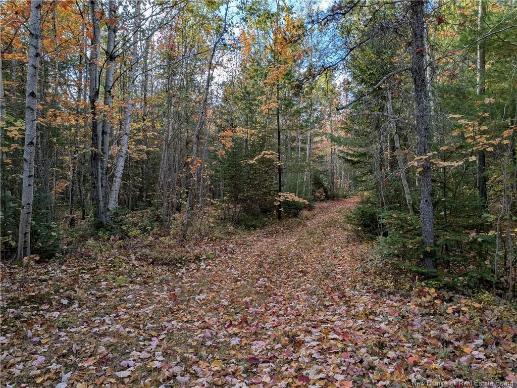 00 Highway 11, Redmondville, NB