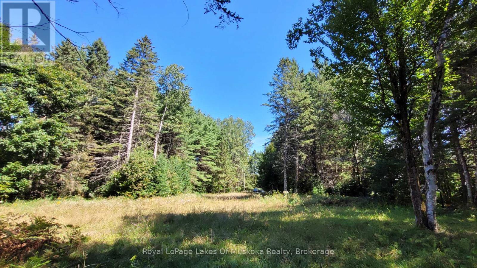 1059 Ablett Court, Algonquin Highlands (Stanhope), ON