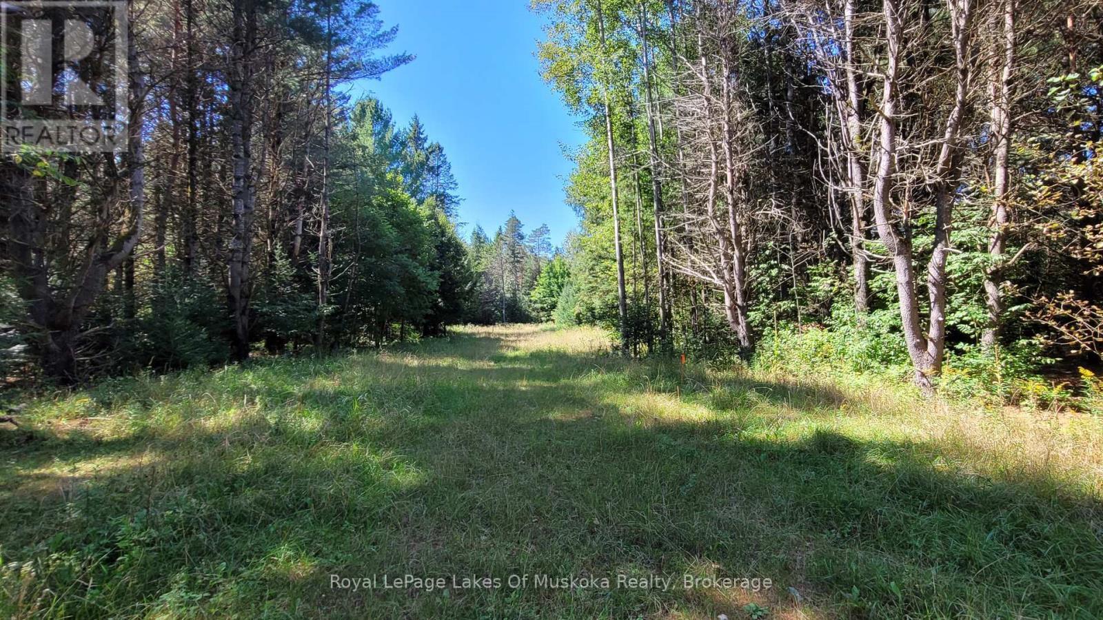 1059 Ablett Court, Algonquin Highlands (Stanhope), ON