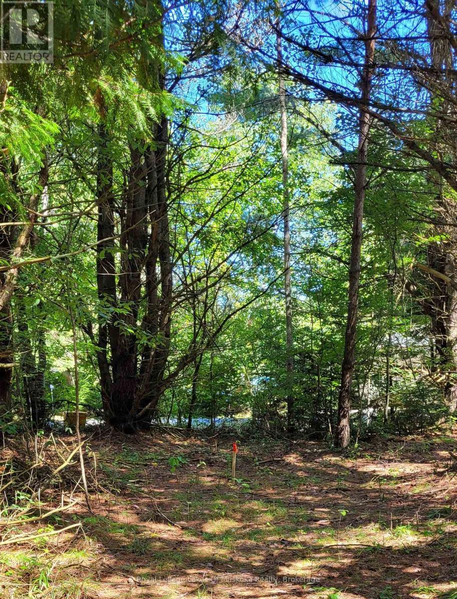 1059 Ablett Court, Algonquin Highlands (Stanhope), ON