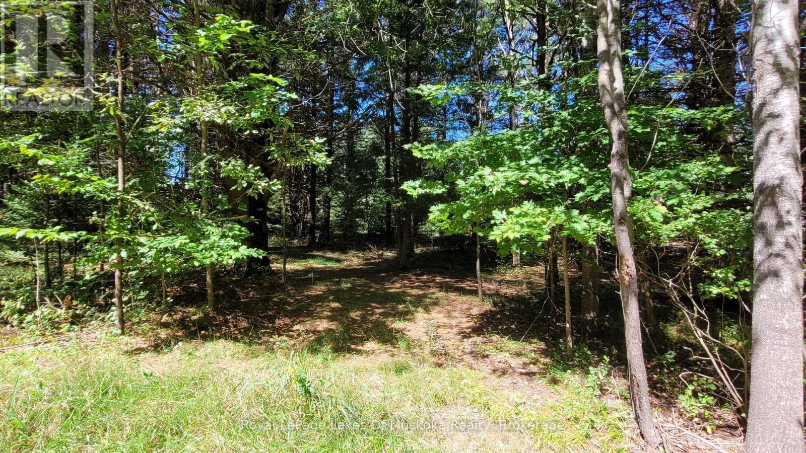 1059 Ablett Court, Algonquin Highlands (Stanhope), ON