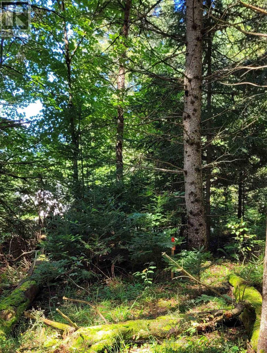 1059 Ablett Court, Algonquin Highlands (Stanhope), ON