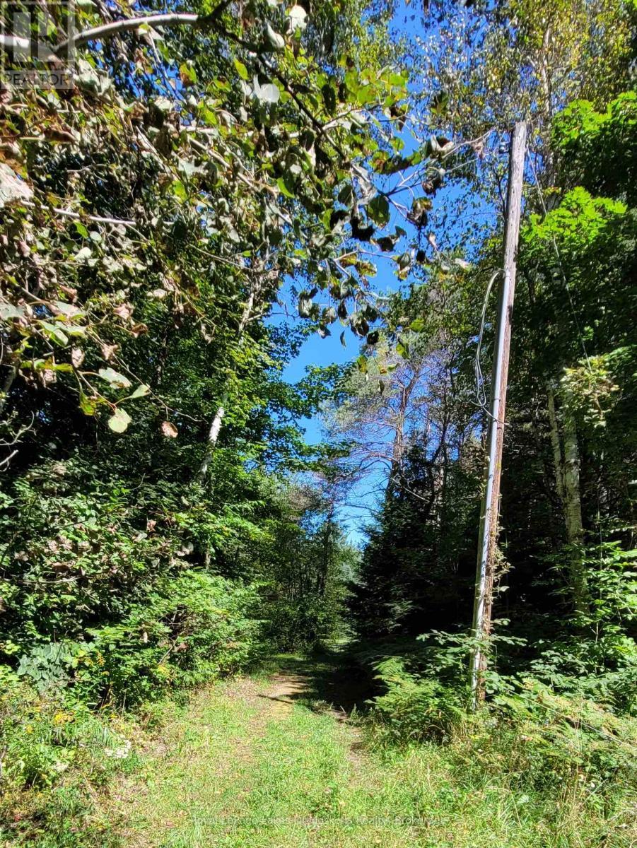 1059 Ablett Court, Algonquin Highlands (Stanhope), ON