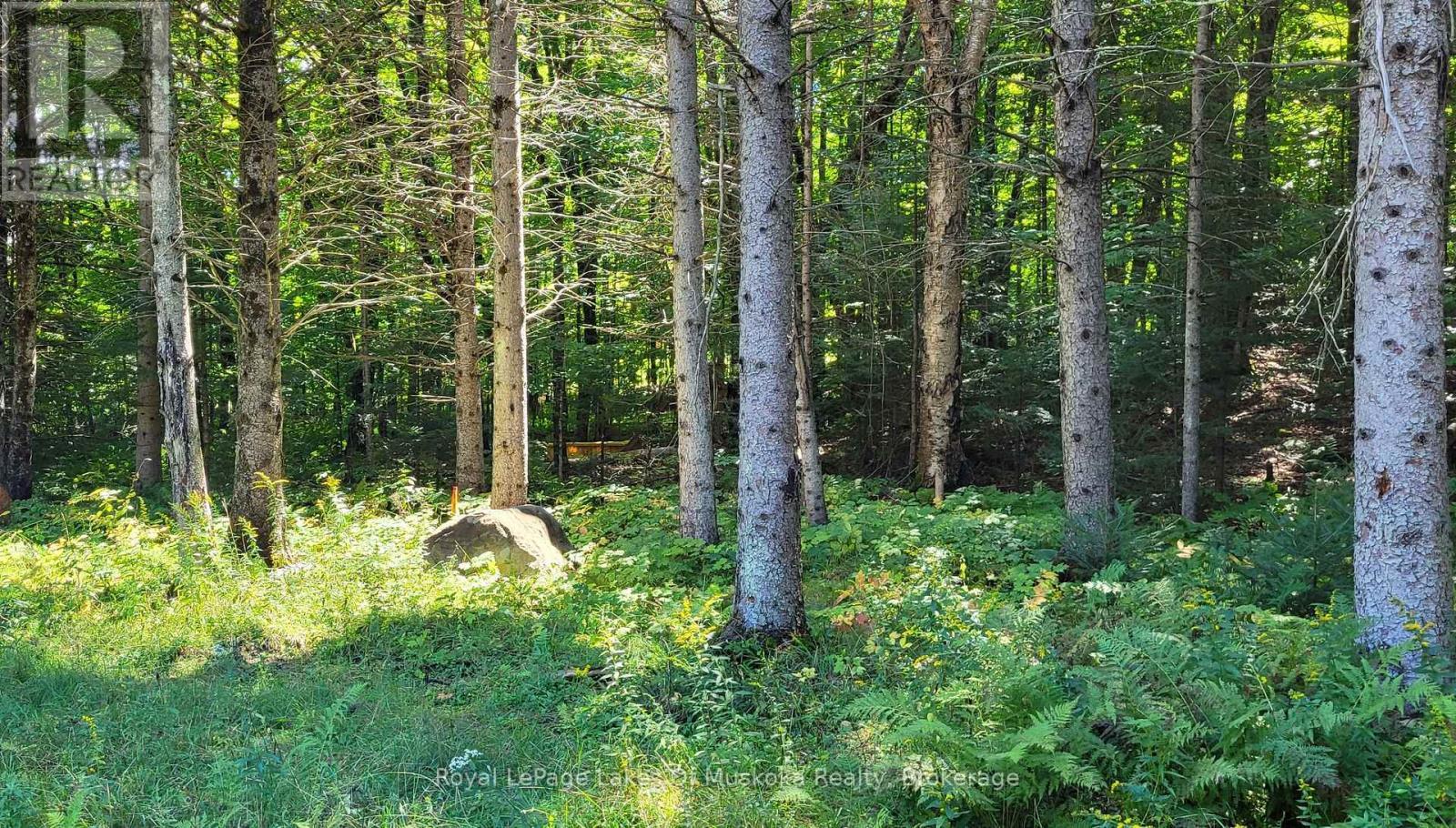 1059 Ablett Court, Algonquin Highlands (Stanhope), ON