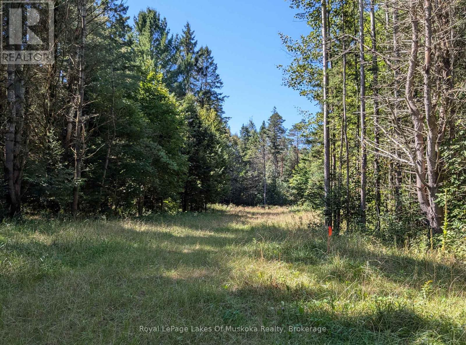 1059 Ablett Court, Algonquin Highlands (Stanhope), ON