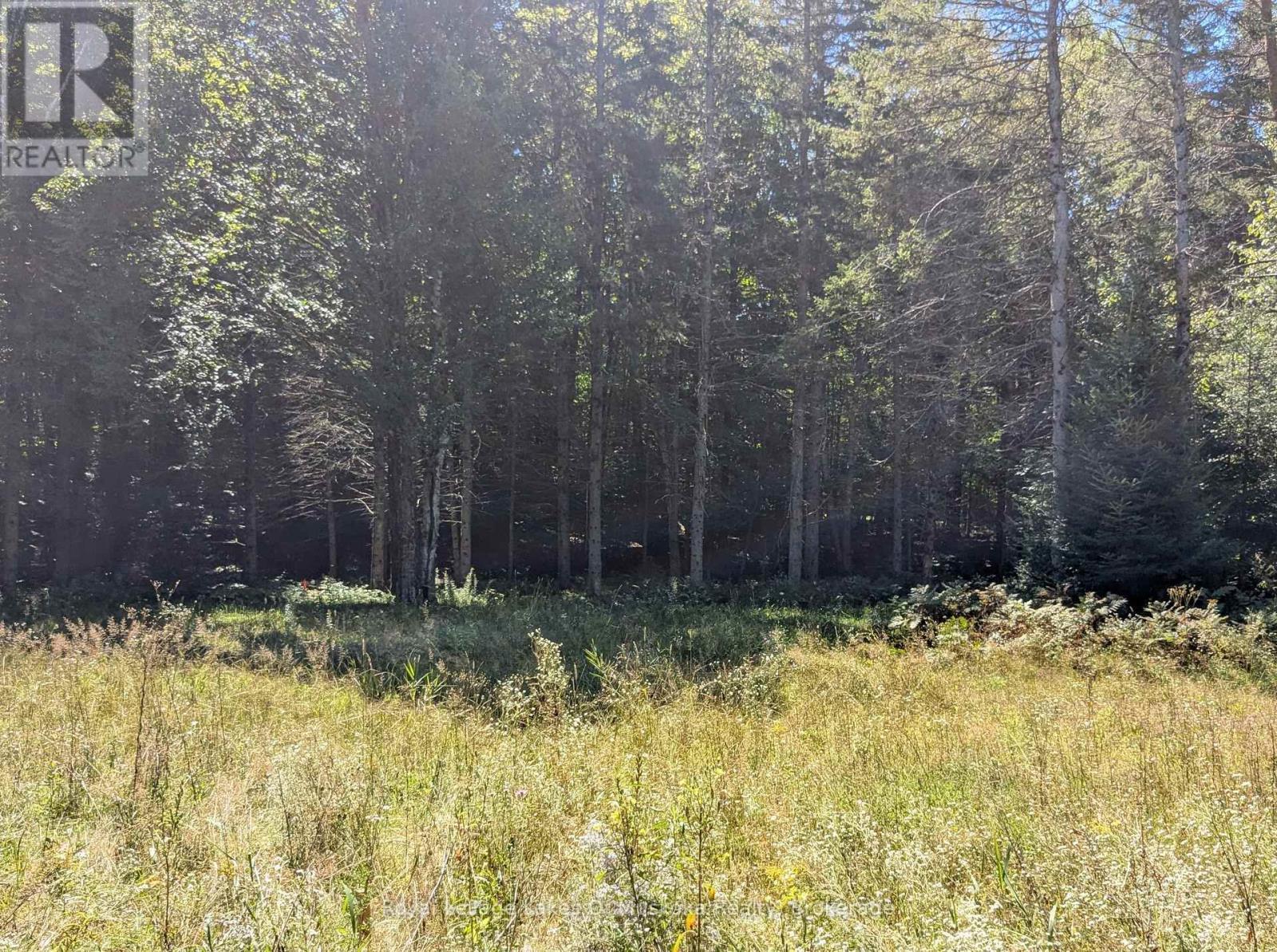 1059 Ablett Court, Algonquin Highlands (Stanhope), ON