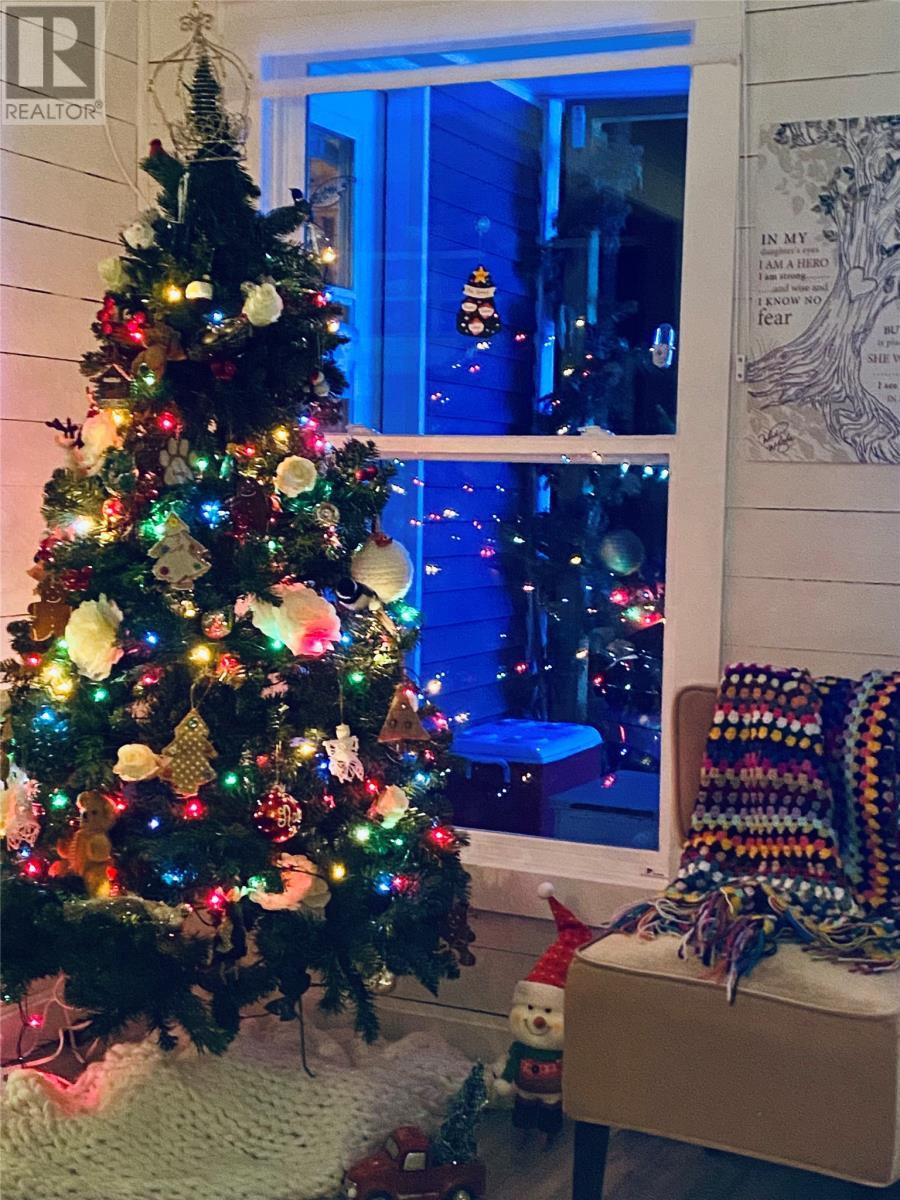 3 Robert Road, South Brook, NL -