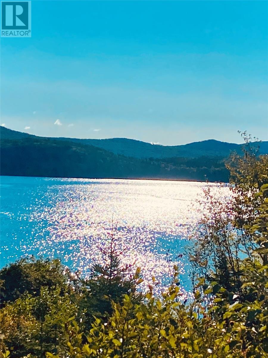 3 Robert Road, South Brook, NL - Outdoor With View