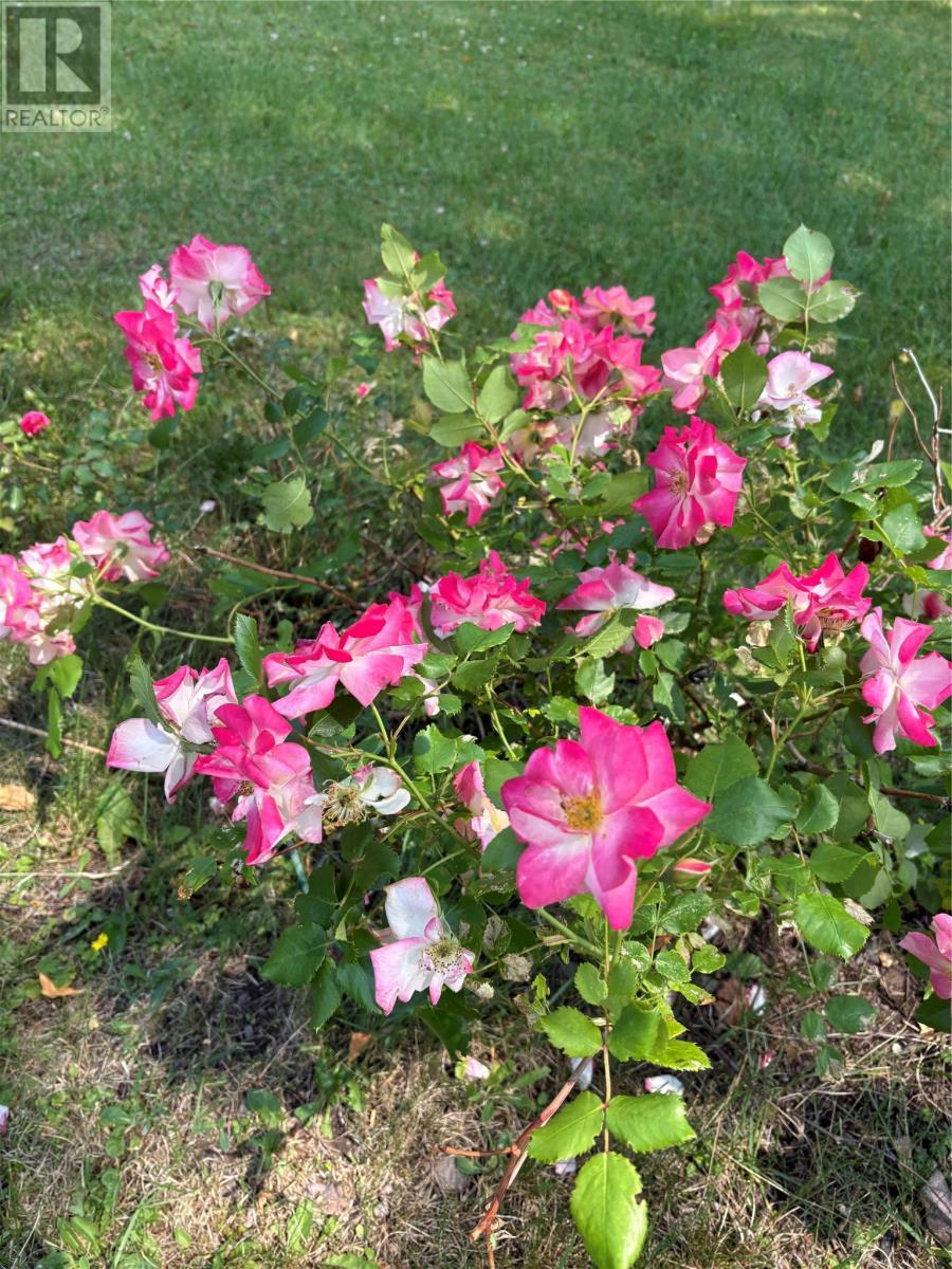 3 Robert Road, South Brook, NL - Outdoor