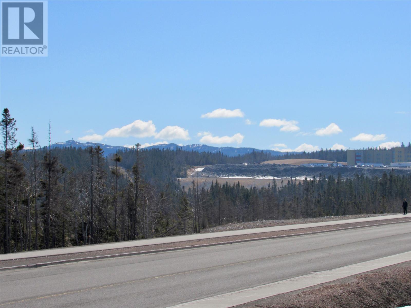 51 Mattie Mitchell Avenue, Corner Brook, NL