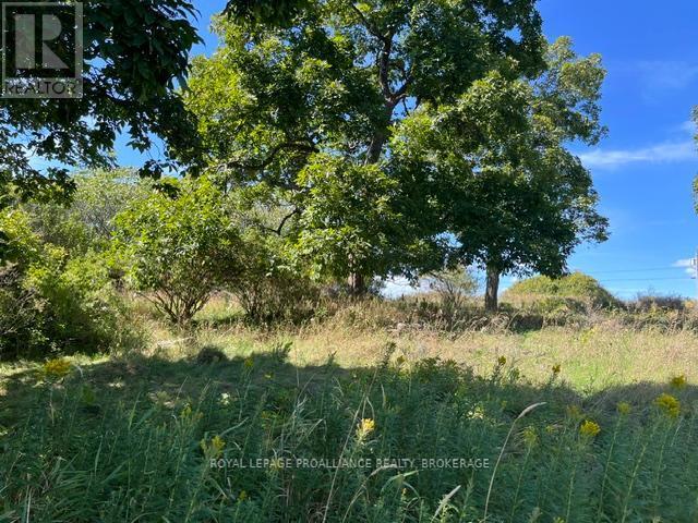 Lot 10 Elizabeth Street, Frontenac Islands (The Islands), ON