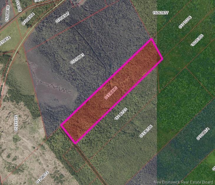 000 Meadow Rd, Rollingdam, NB