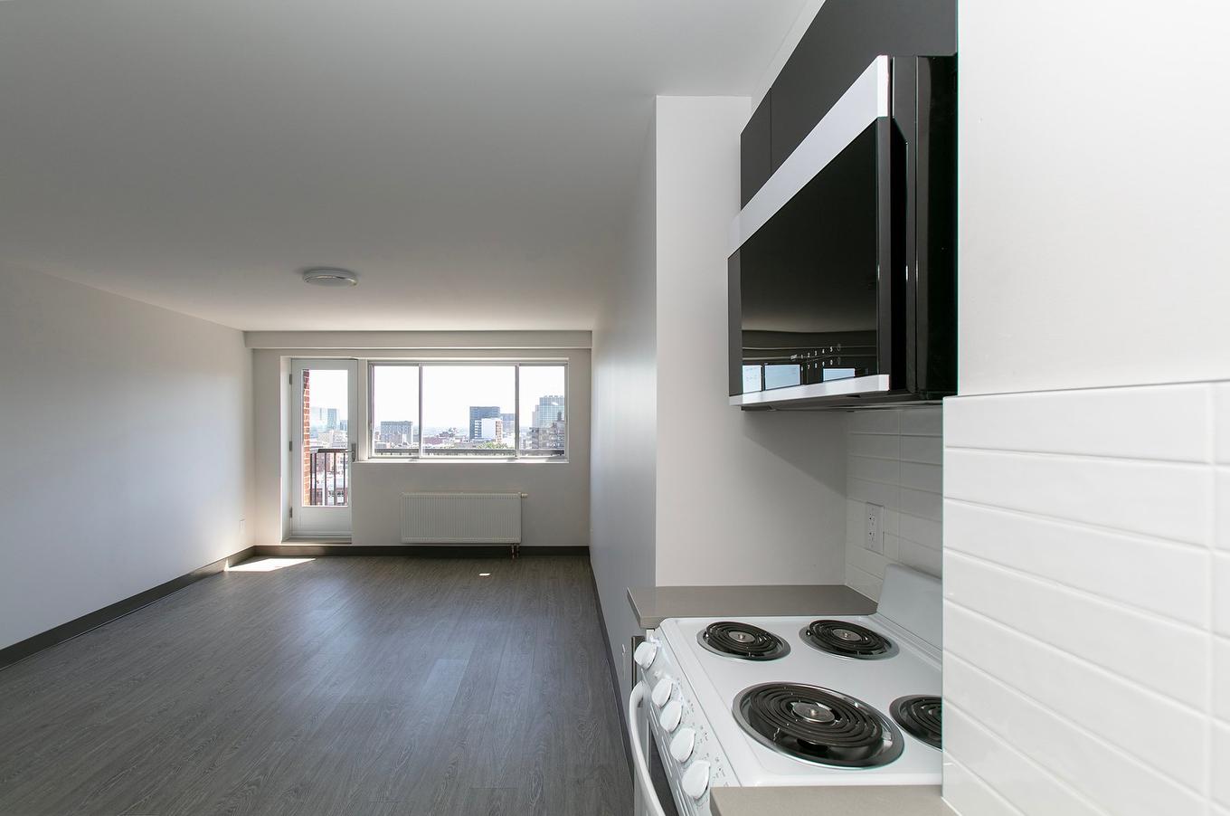 Living room - 102-3605 Rue St-Urbain, Montréal (Le Plateau-Mont-Royal), QC - Indoor Photo Showing Kitchen