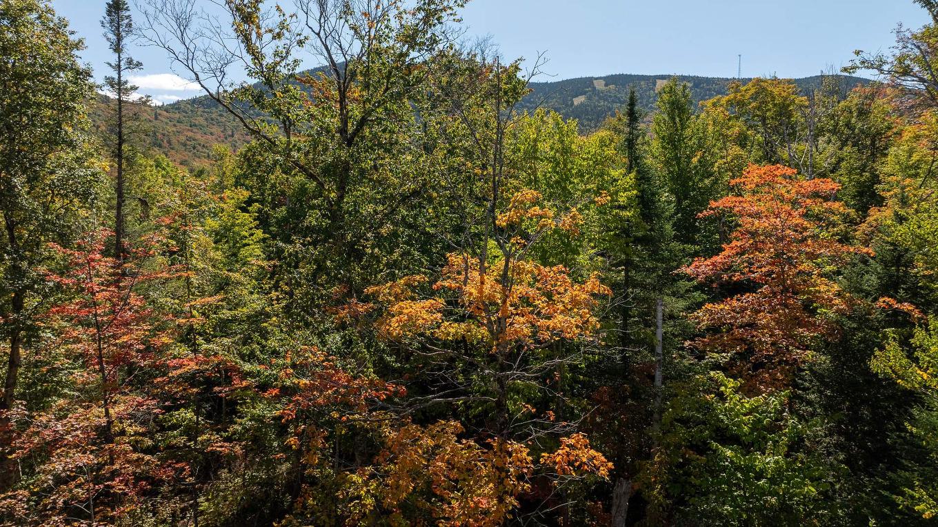 Other - 14 Rue Du Promontoire, Saint-Philémon, QC