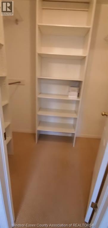 3442 Souilliere, Windsor, ON - Indoor With Storage