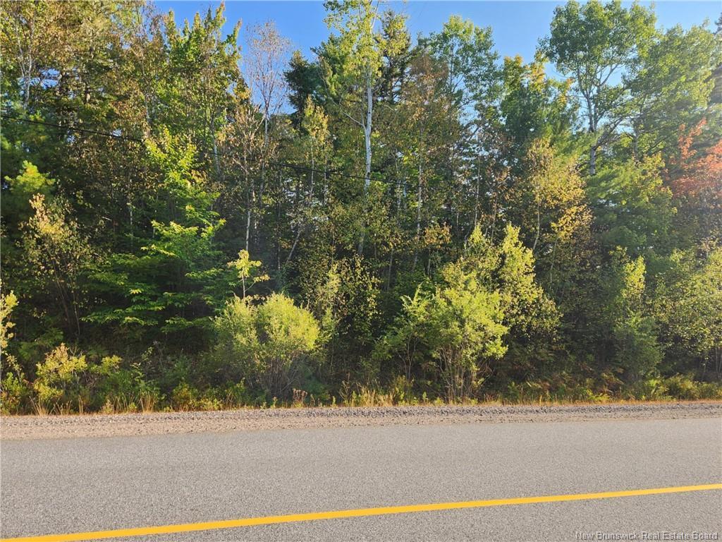 - Route 101, Clarendon, NB