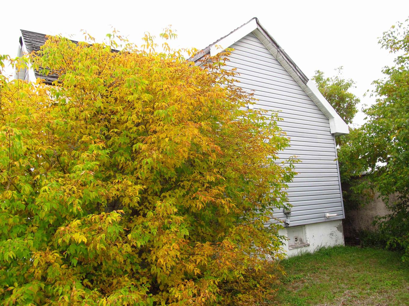 201 Fourth Ave Se, Geraldton, ON - Outdoor