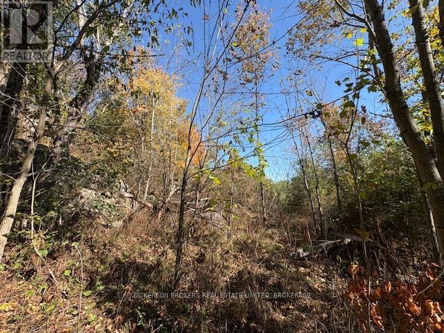 254 Briar Hill Road, Leeds And The Thousand Islands, ON