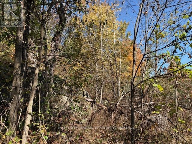 254 Briar Hill Road, Leeds And The Thousand Islands, ON