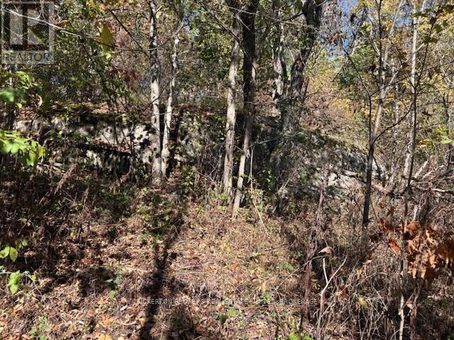 254 Briar Hill Road, Leeds And The Thousand Islands, ON