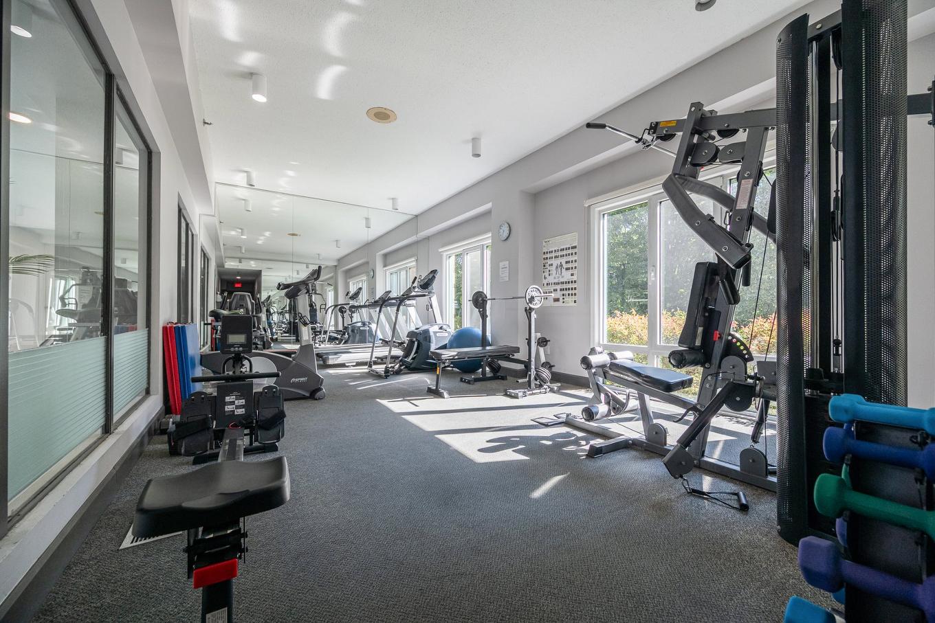 Salle d'exercice - 1203-5105 Boul. De L'Assomption, Montréal (Rosemont/La Petite-Patrie), QC - Indoor Photo Showing Gym Room