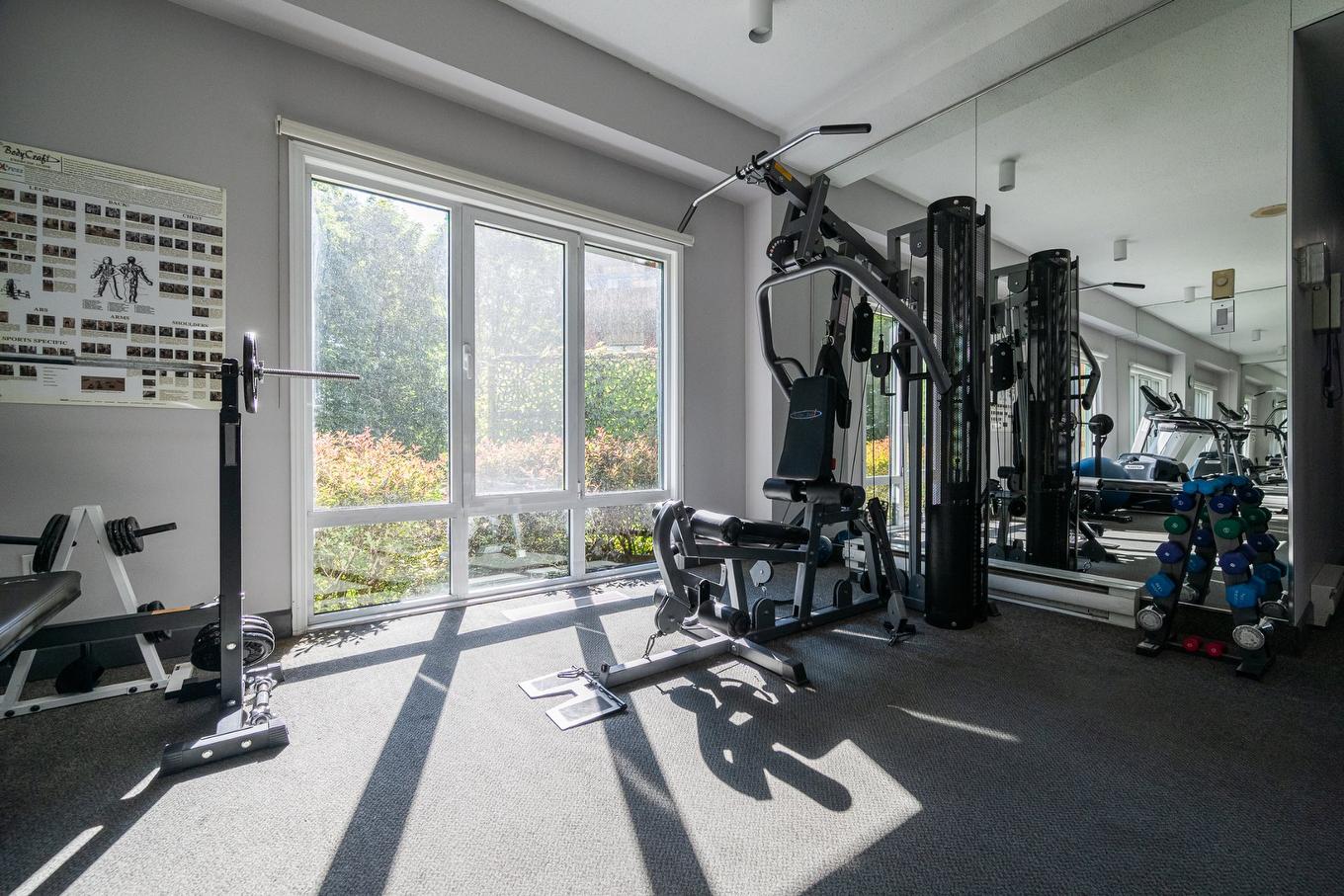 Salle d'exercice - 1203-5105 Boul. De L'Assomption, Montréal (Rosemont/La Petite-Patrie), QC - Indoor Photo Showing Gym Room