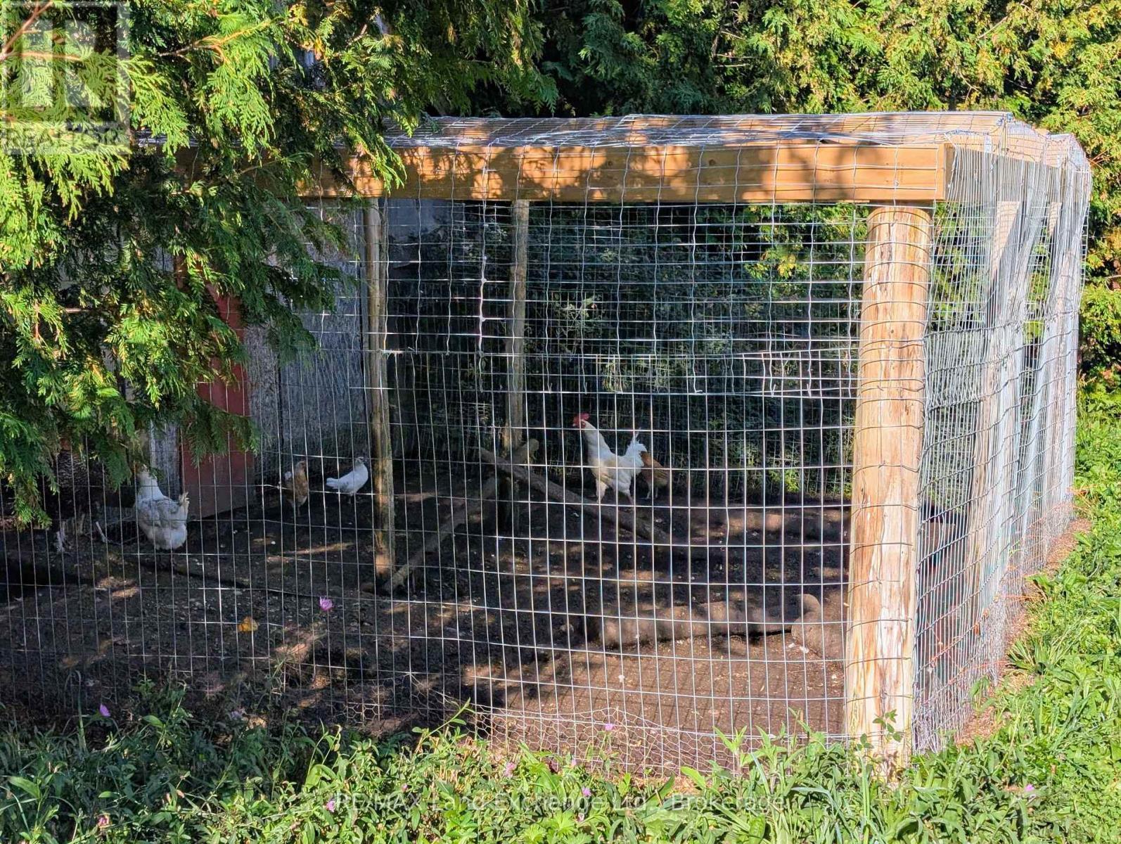 chicken coop - 315045 Highway 6 Rr1 Highway, West Grey, ON - Outdoor