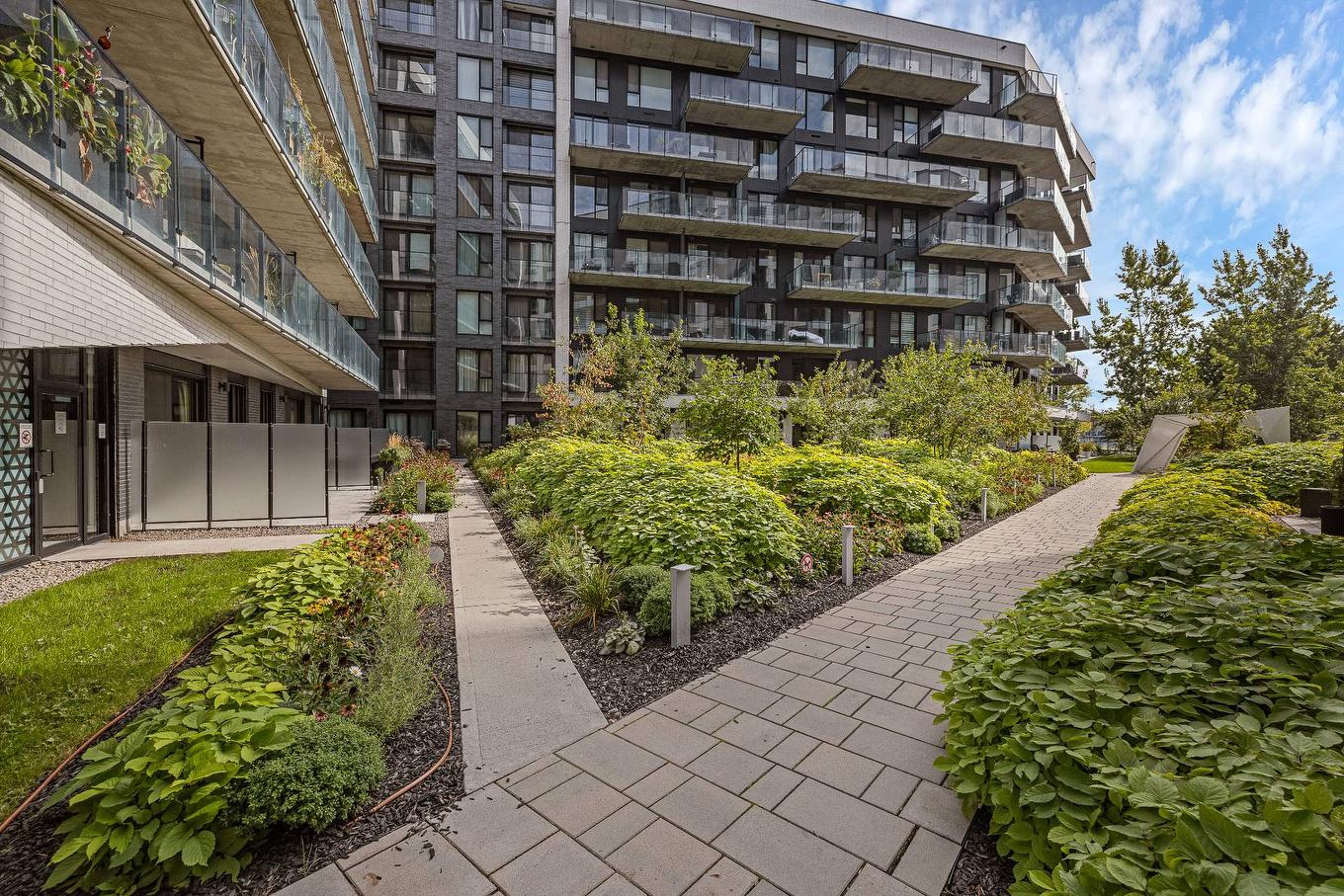 Backyard - 218-1550 Rue Des Bassins, Montréal (Le Sud-Ouest), QC - Outdoor With Balcony