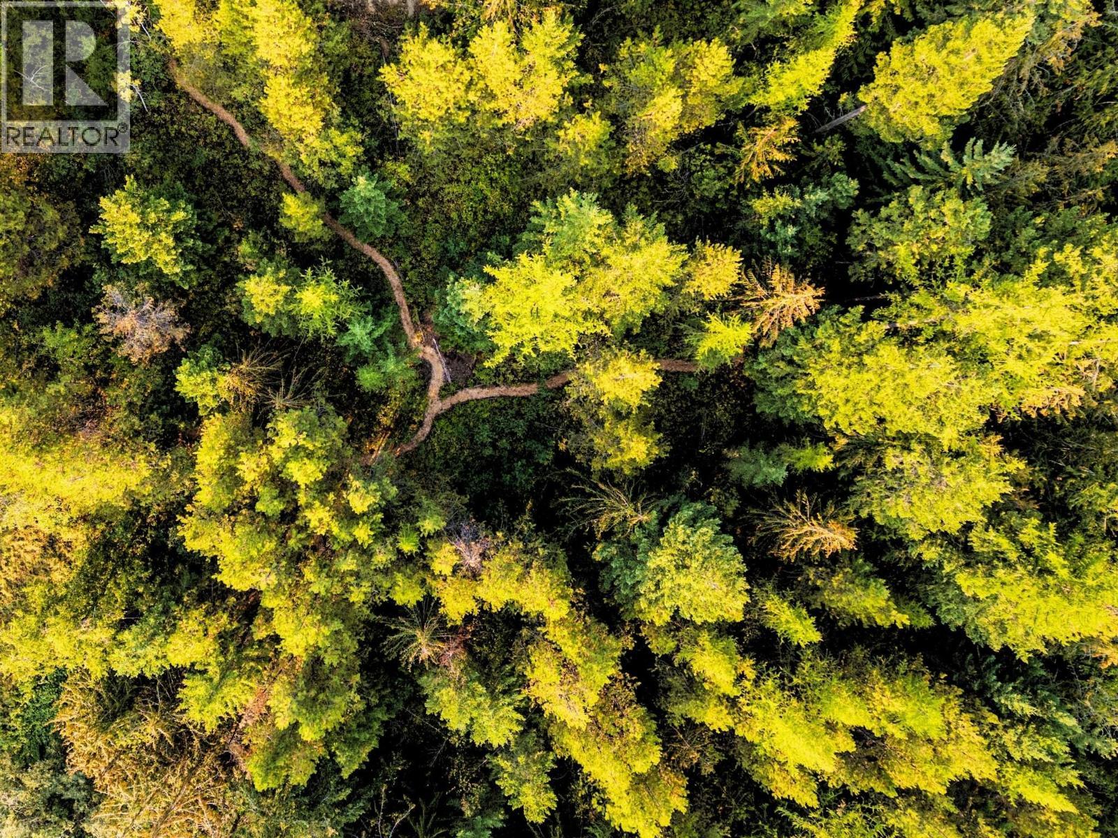 8130 Jackpine Road, Vernon, BC - Outdoor