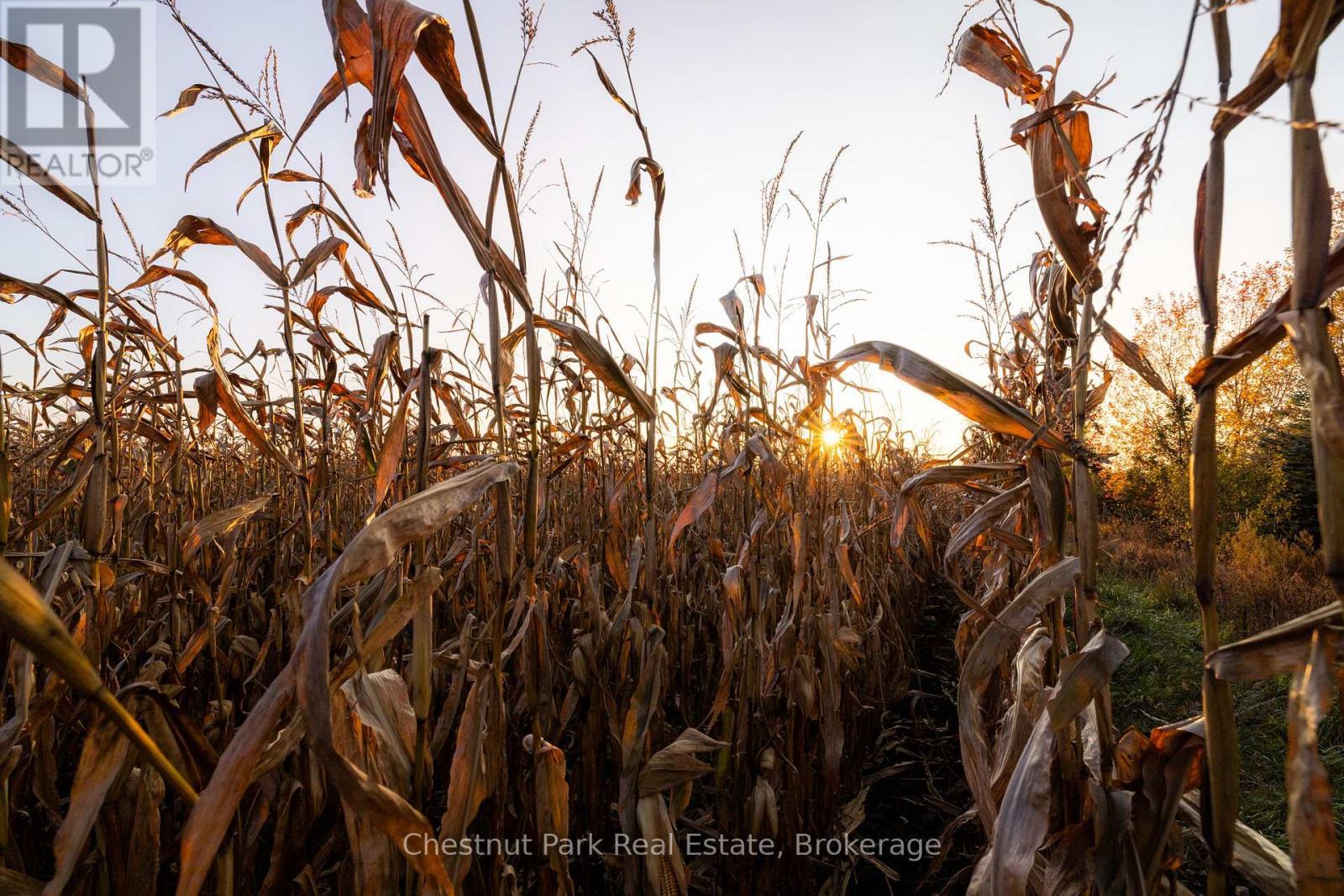 324310 Sideroad 27 Road, Meaford, ON - Indoor Photo Showing Other Room