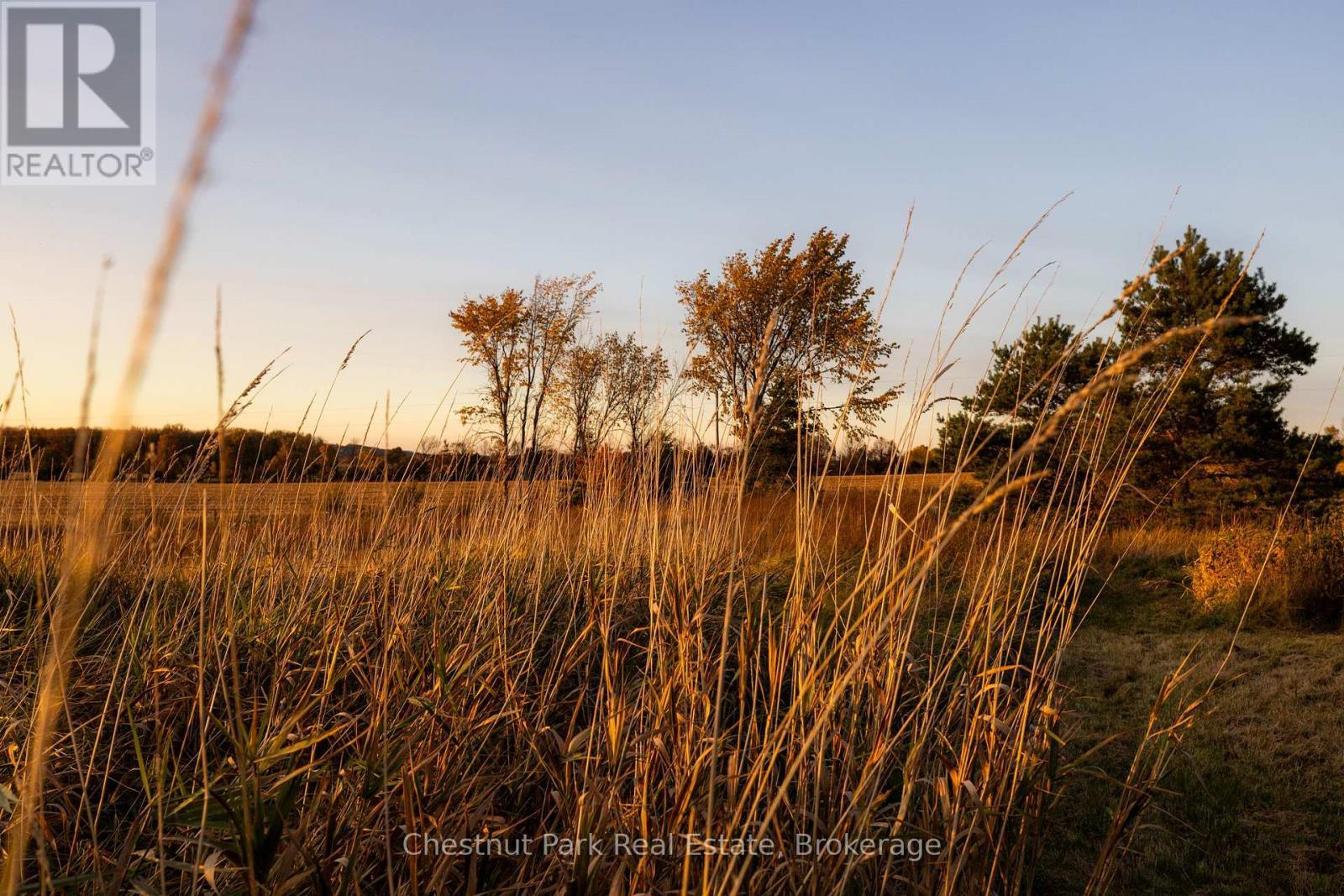 324310 Sideroad 27 Road, Meaford, ON - Outdoor With View