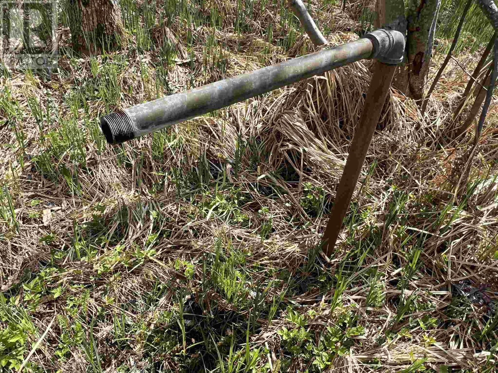 4957 Gordon Rd, Jocelyn Township, ON