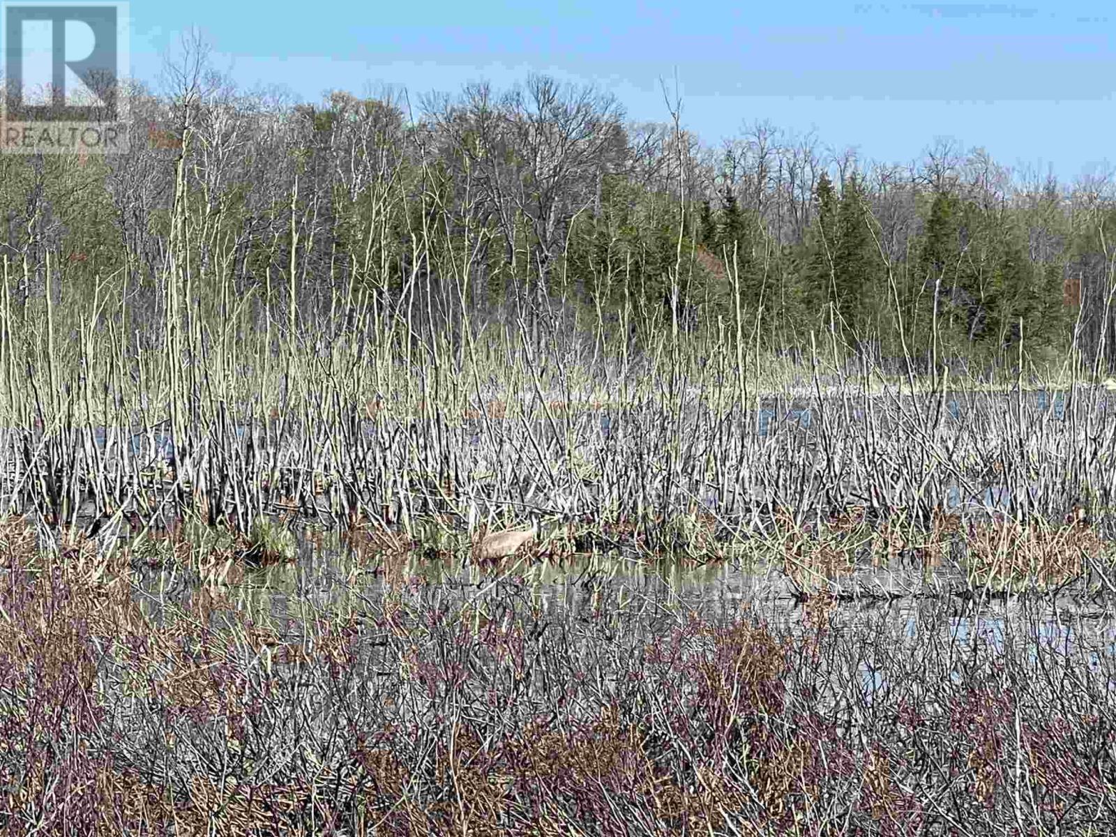 4957 Gordon Rd, Jocelyn Township, ON