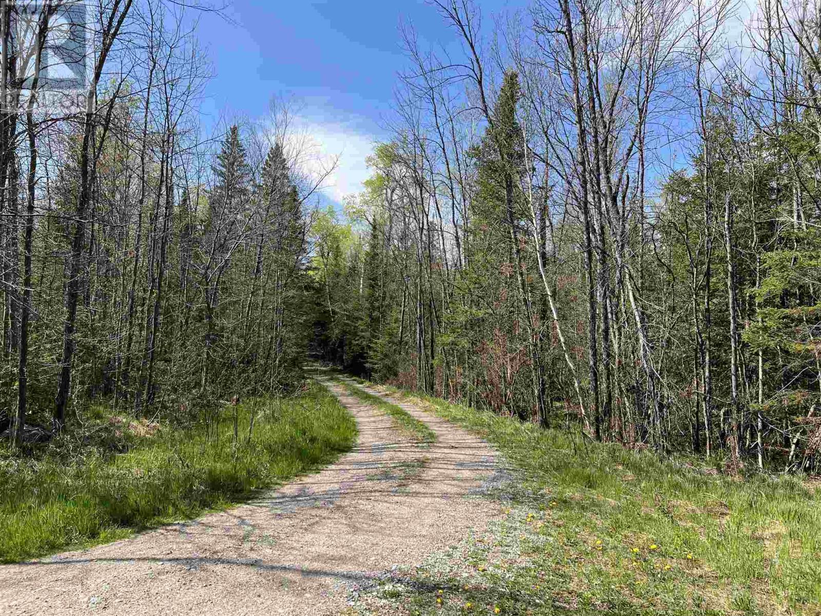 4957 Gordon Rd, Jocelyn Township, ON