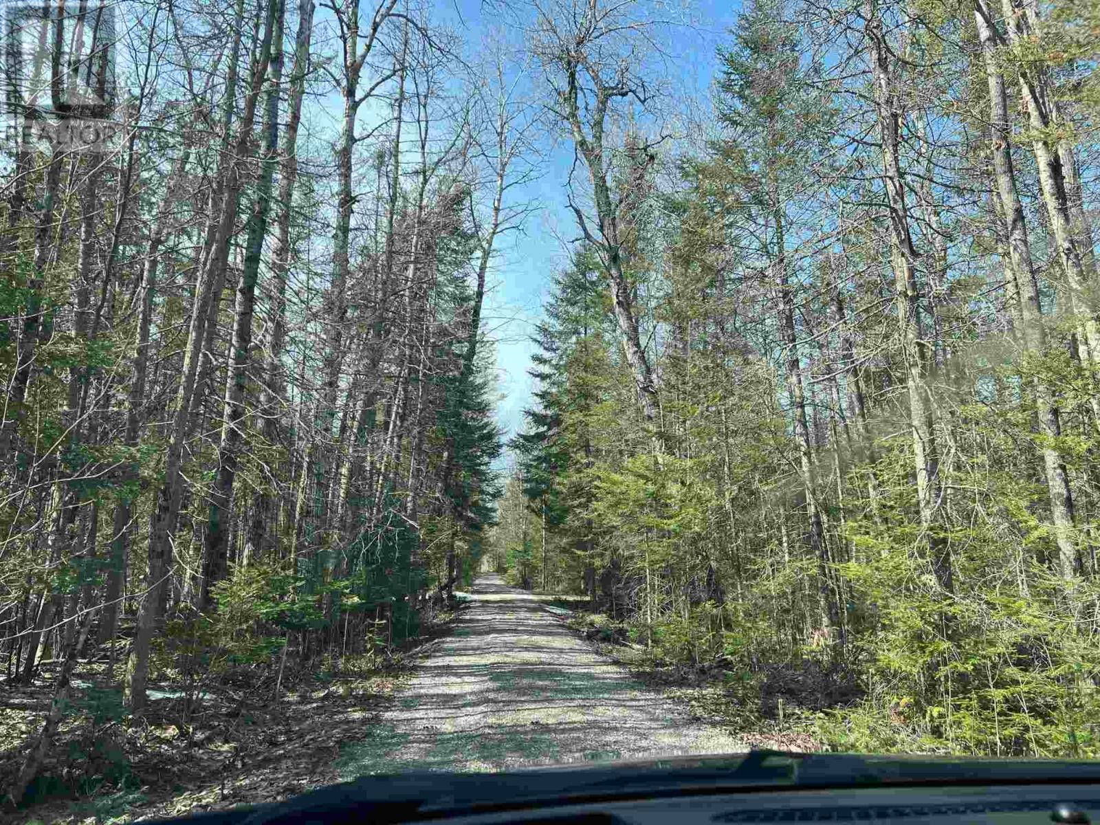 4957 Gordon Rd, Jocelyn Township, ON