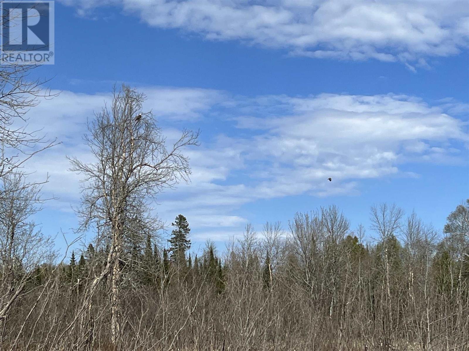 4957 Gordon Rd, Jocelyn Township, ON