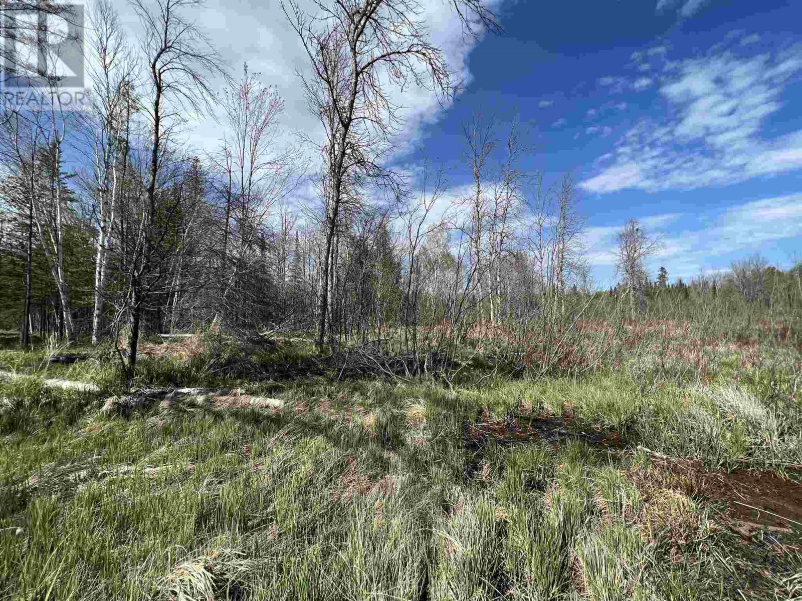 4957 Gordon Rd, Jocelyn Township, ON