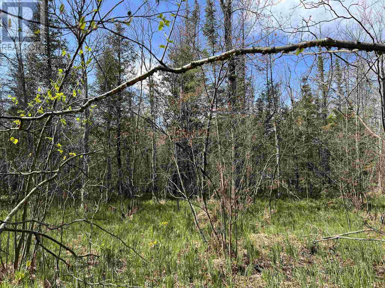 4957 Gordon Rd, Jocelyn Township, ON