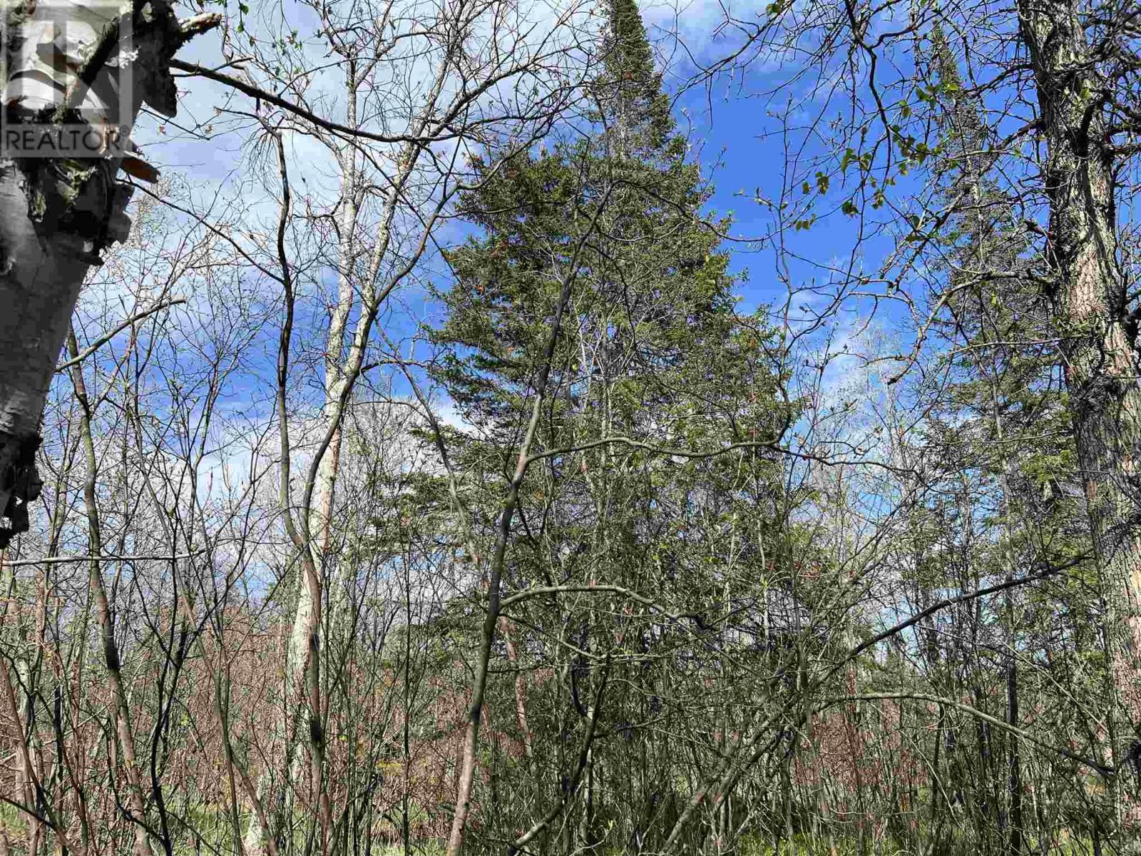 4957 Gordon Rd, Jocelyn Township, ON