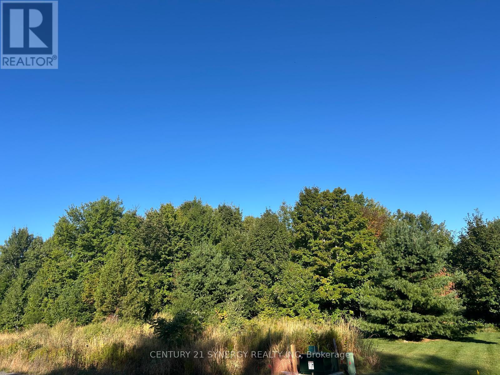 Fully treed lot - 124 Derbeyshire Street, Ottawa, ON