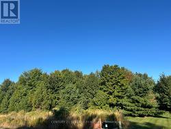 Fully treed lot -