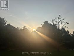 Sunset front facing -