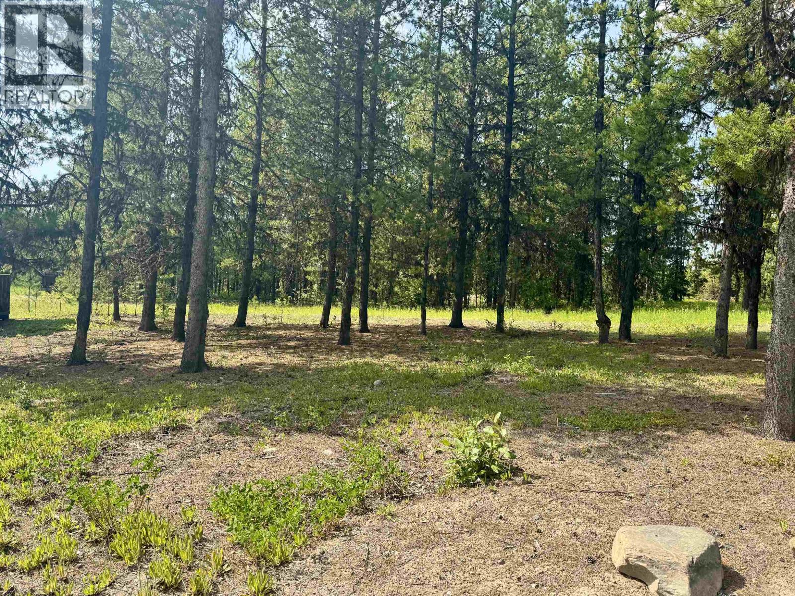 15053 Nickol Road, Vanderhoof, BC - Outdoor With View