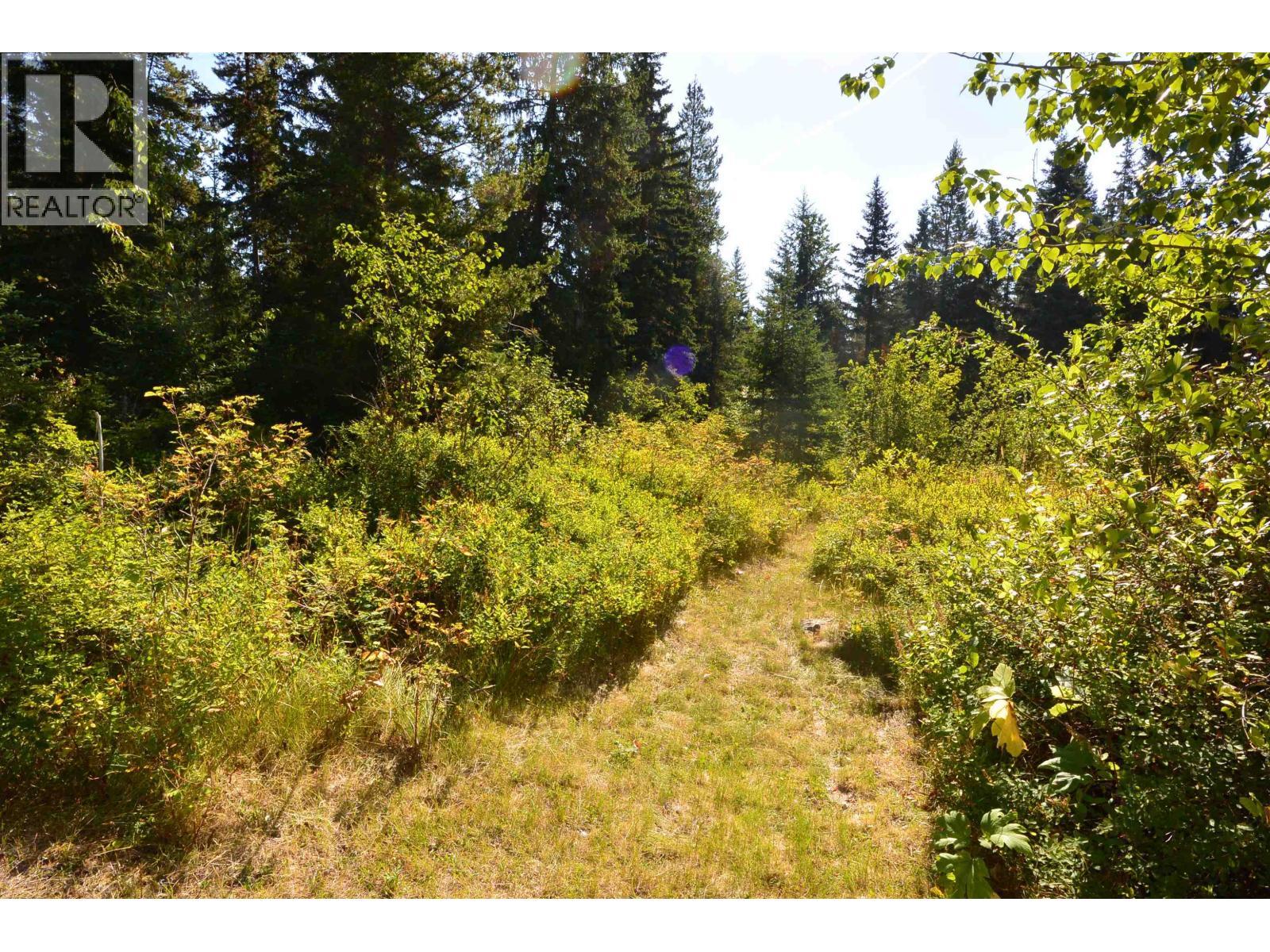 28062 Walcott Quick Road, Telkwa, BC - Outdoor