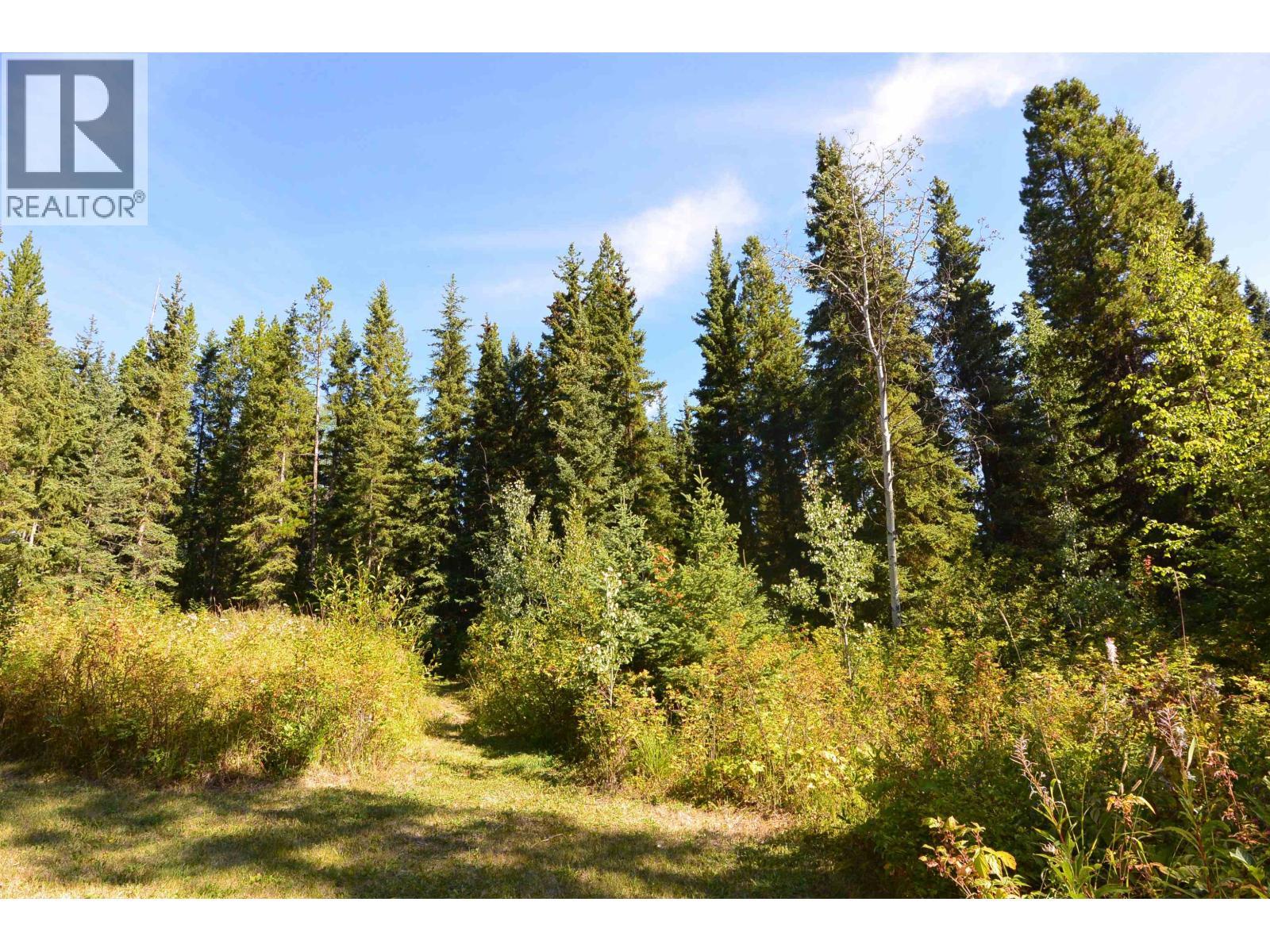 28062 Walcott Quick Road, Telkwa, BC - Outdoor With View